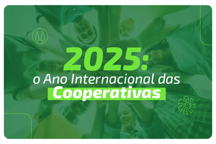 2025: o Ano Internacional das Cooperativas