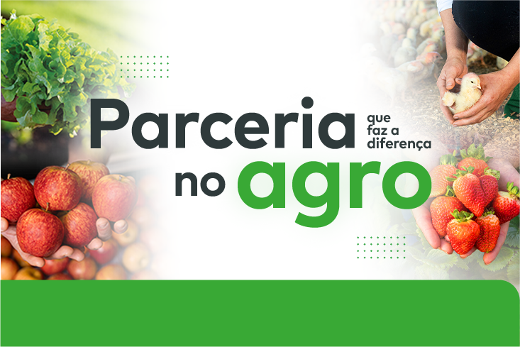 Aproveite o Plano Safra 24/25 e conheça as soluções da Pioneira que irão impulsionar seu agronegócio