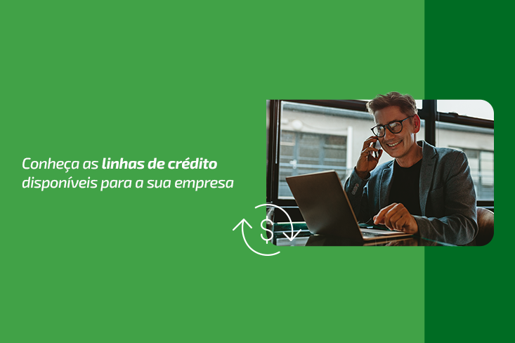Conheça as linhas de crédito disponíveis para a sua empresa
