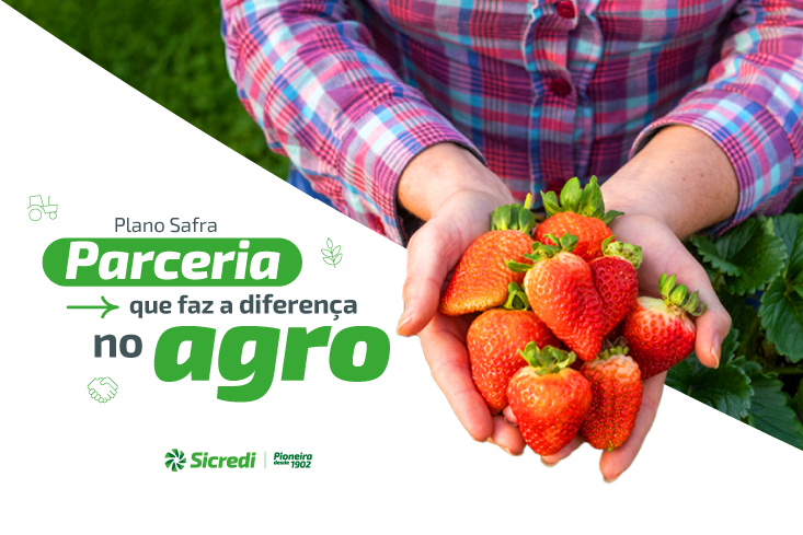 Plano Safra e muito mais: com a Sicredi Pioneira, o seu agronegócio tem apoio o ano todo